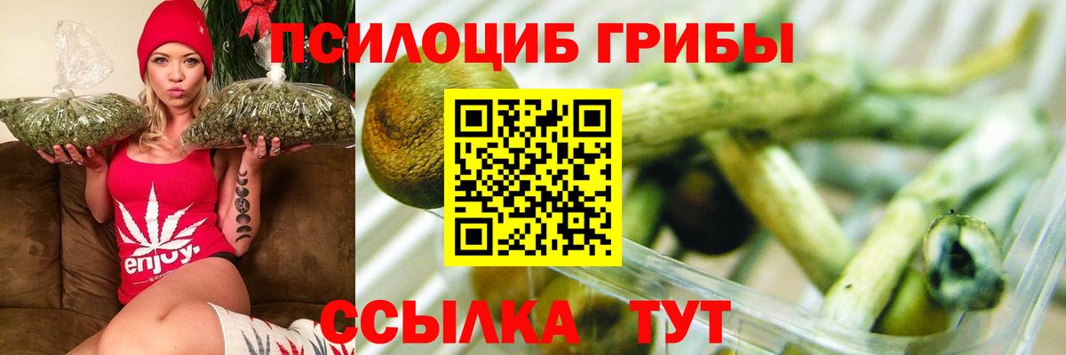 Шатура  Псилоцибиновые грибы Magic Shrooms  Вход с VPN 